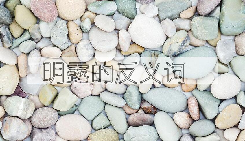 用明露造句