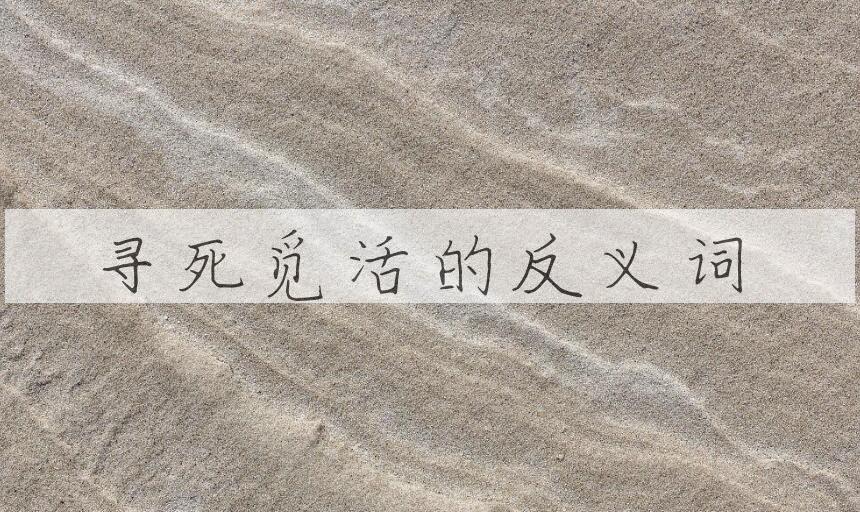 用寻死觅活造句