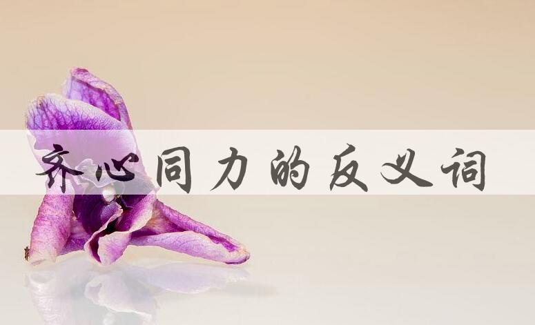 用齐心同力造句