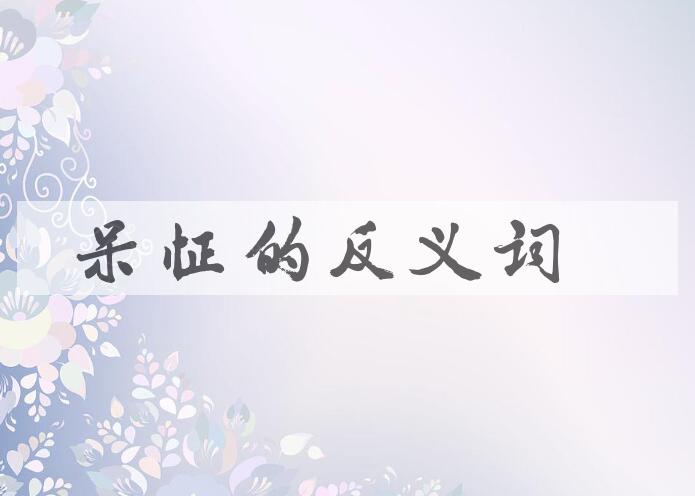 用呆怔造句