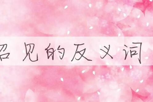 用召见造句