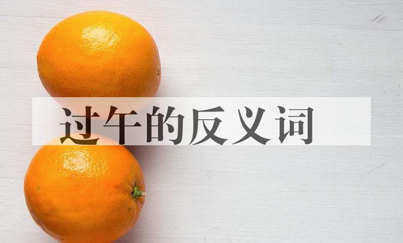 用过午造句