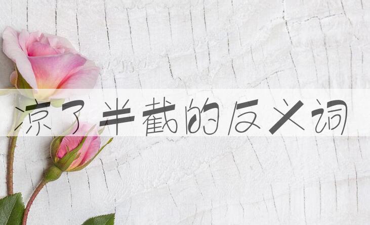 用凉了半截造句
