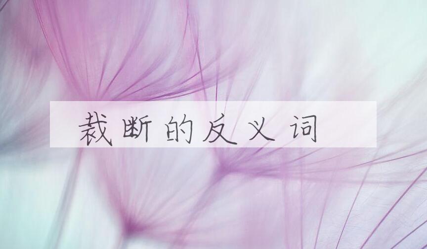 用裁断造句