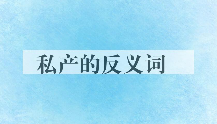 用私产造句