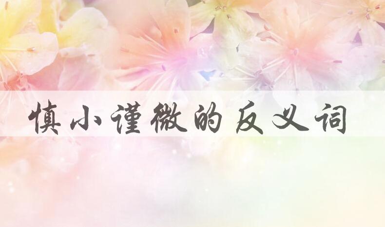 用慎小谨微造句