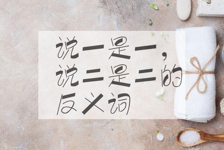 用说一是一，说二是二造句