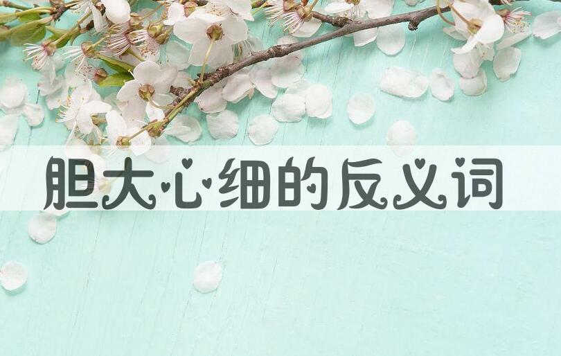 用胆大心细造句