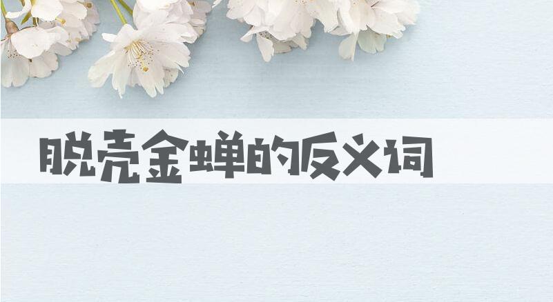 用脱壳金蝉造句