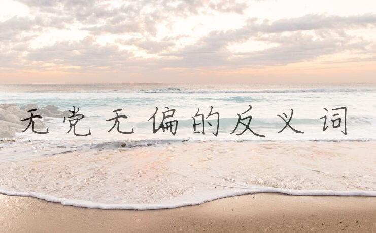 用无党无偏造句