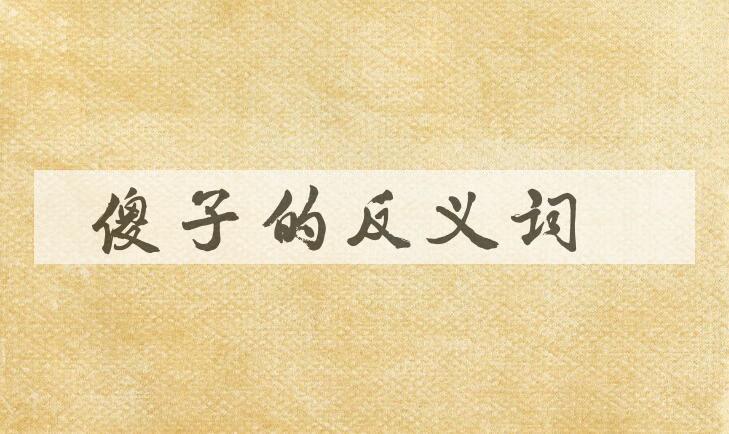 用傻子造句