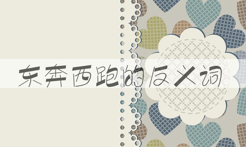 用东奔西跑造句