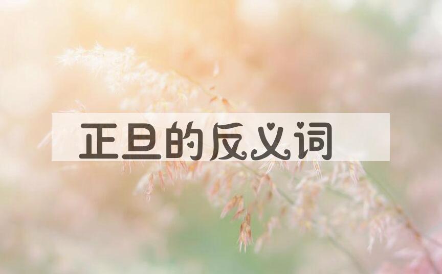 用正旦造句