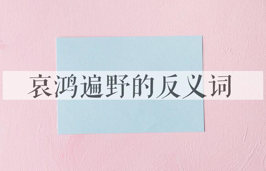 用哀鸿遍野造句