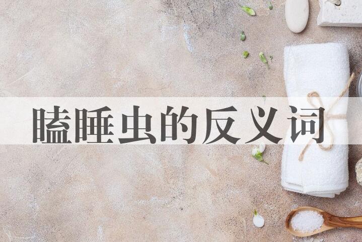 用瞌睡虫造句