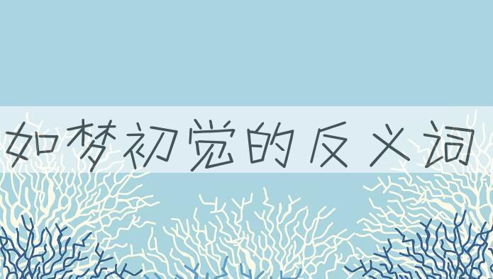 用如梦初觉造句