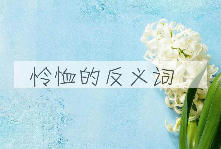用怜恤造句