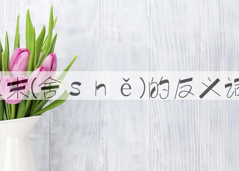 用舍本求末(舍ｓｈě)造句