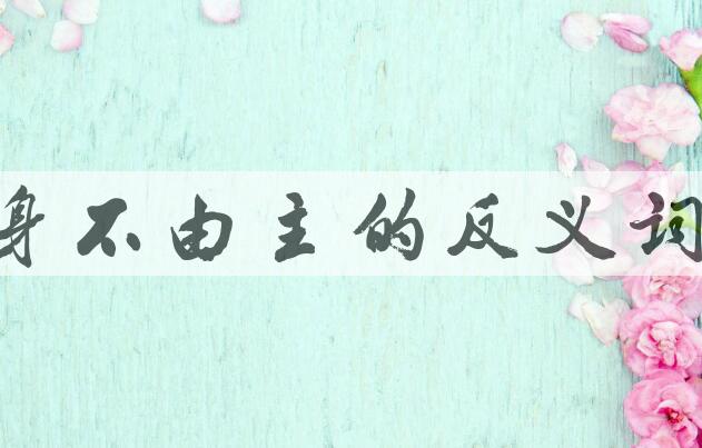 用身不由主造句