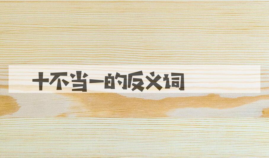 用十不当一造句