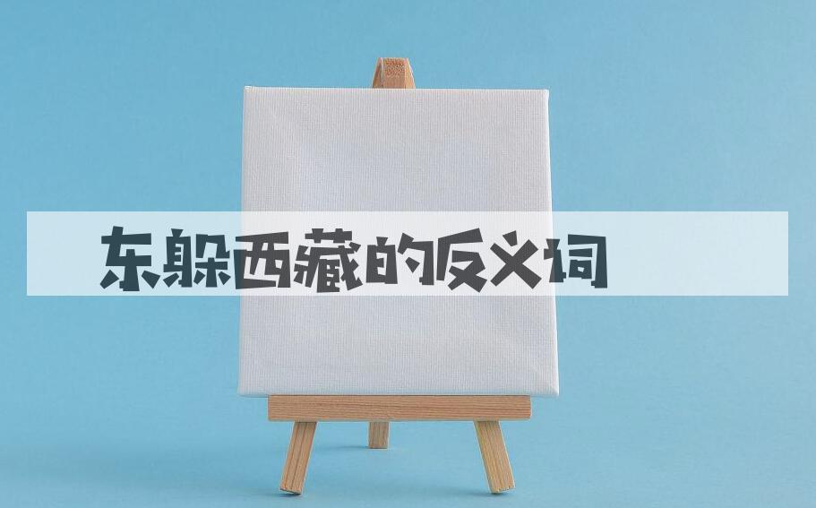 用东躲西藏造句