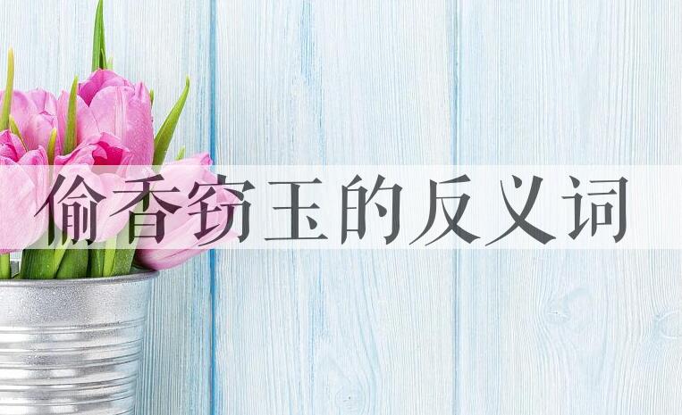用偷香窃玉造句