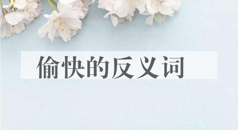 用偷快造句
