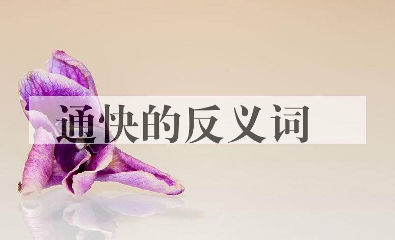 用通快造句