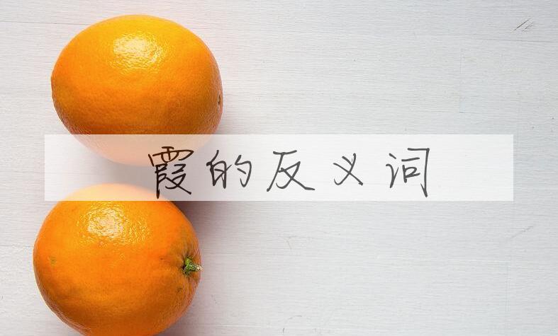 用晩霞造句
