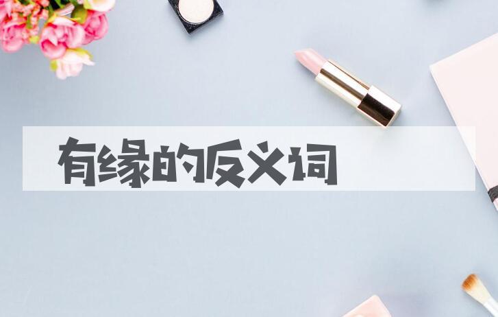 用有缘造句