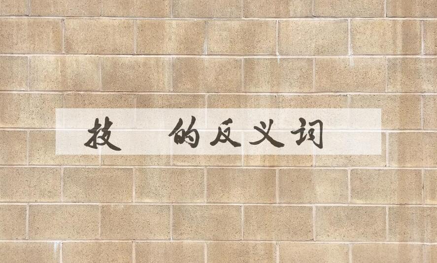 用技能造句