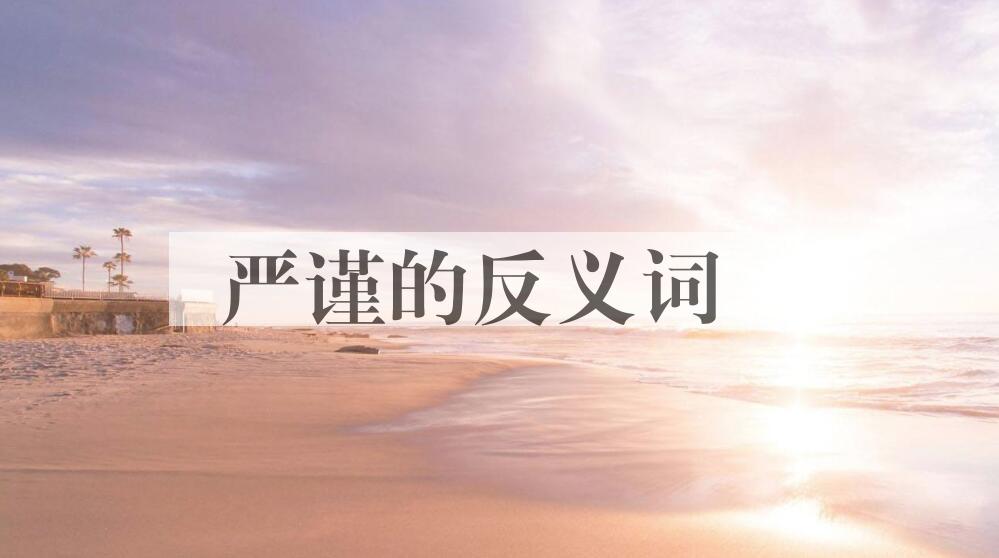 用严谨造句