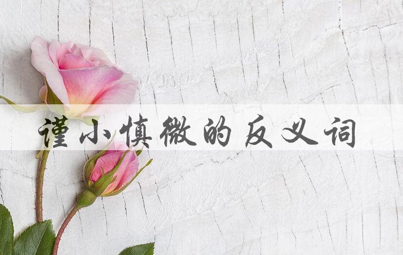 用谨小慎微造句