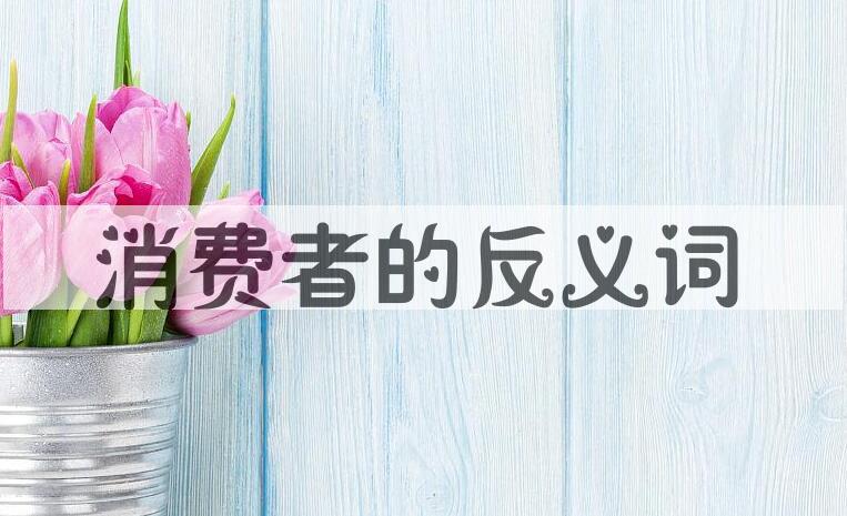 用消费者造句