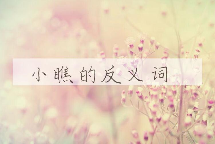 用小瞧造句