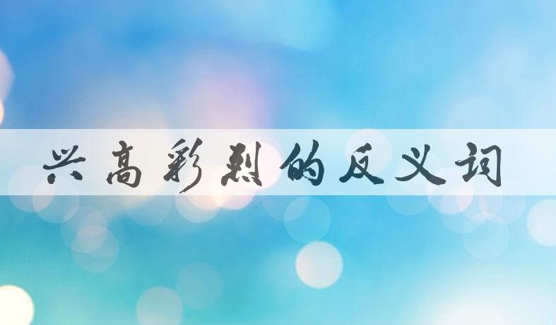 用兴高彩烈造句