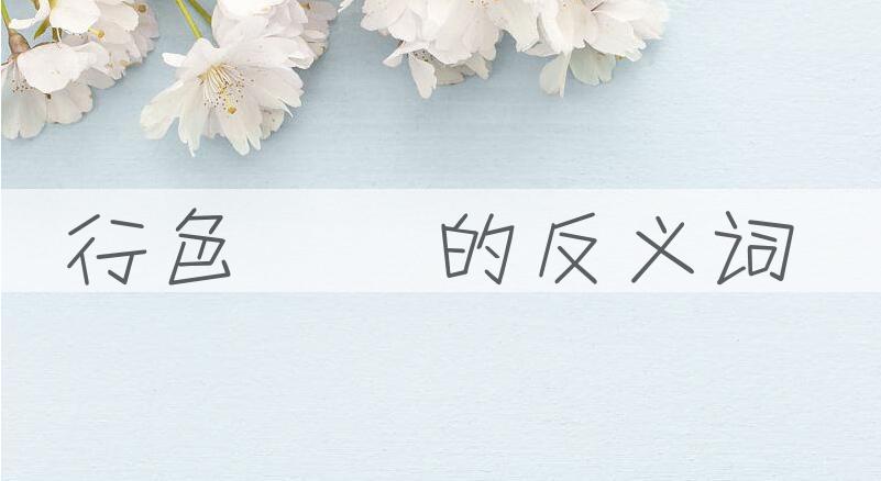 用行色恠恠造句