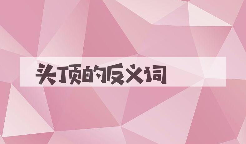 用头顶造句