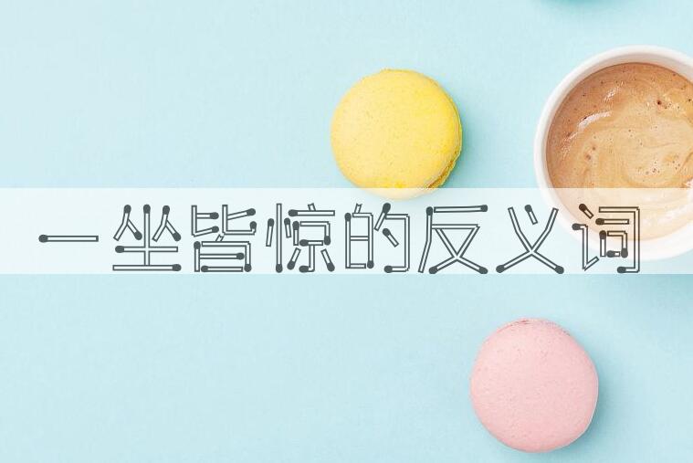 用一坐皆惊造句