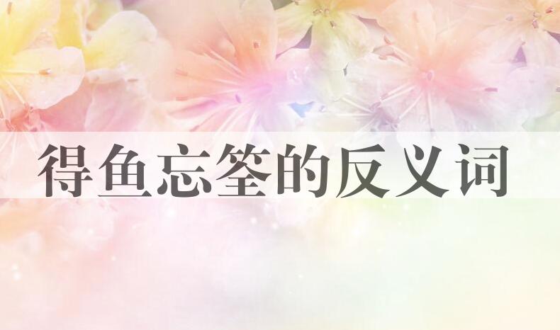 用得鱼忘筌造句