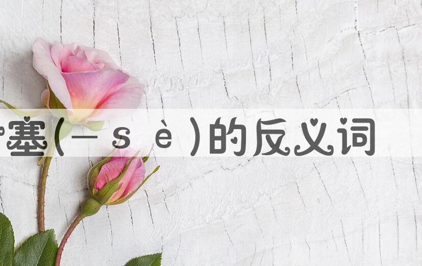 用淤塞(-ｓè)造句