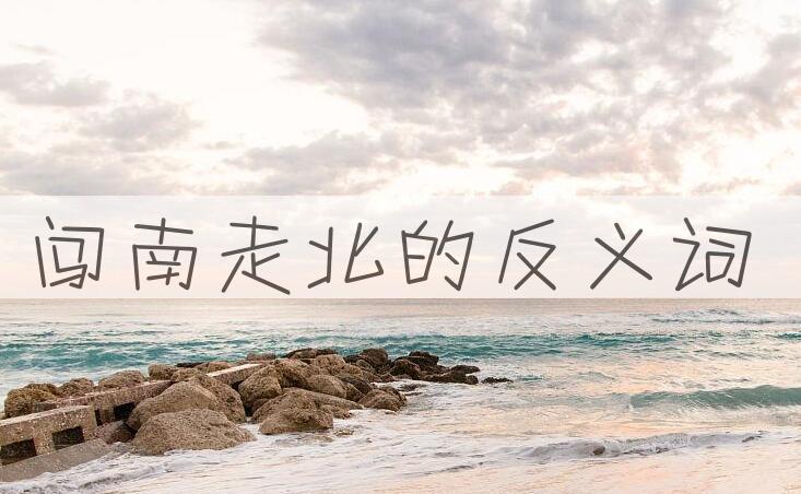 用闯南走北造句