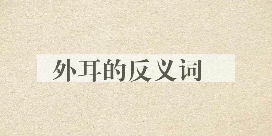 用外耳造句