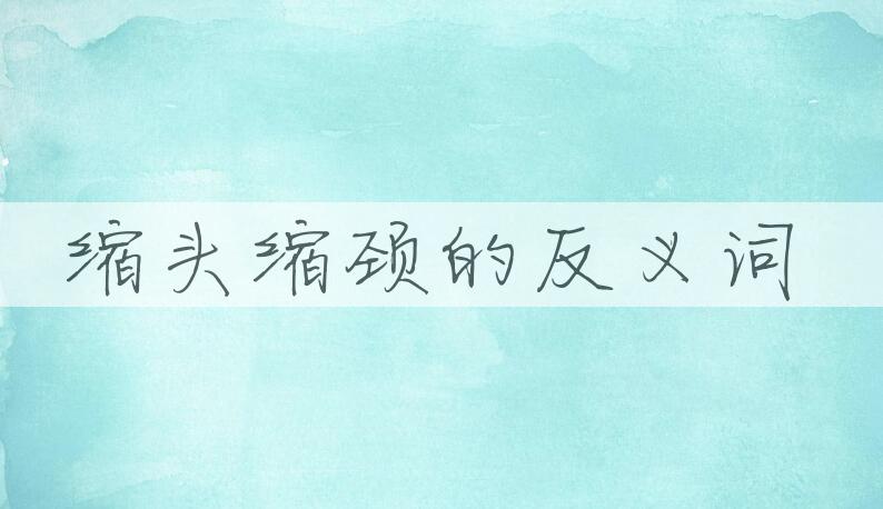 用缩头缩颈造句