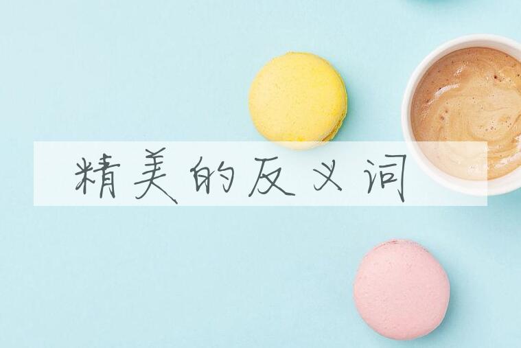 用精美造句