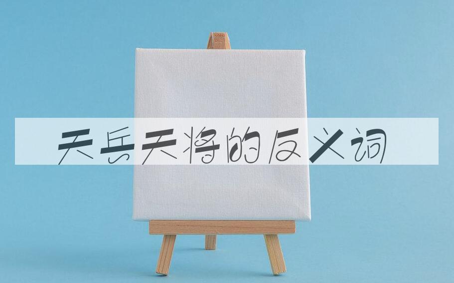 用天兵天将造句