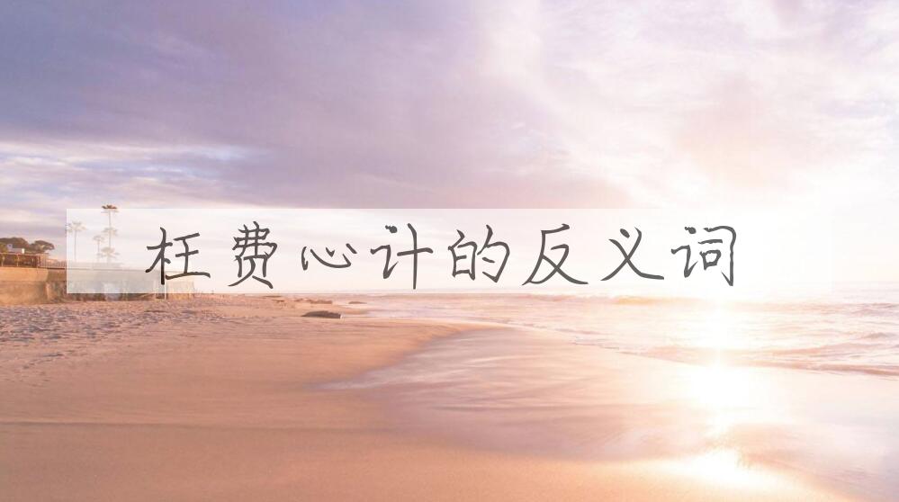 用枉费心计造句