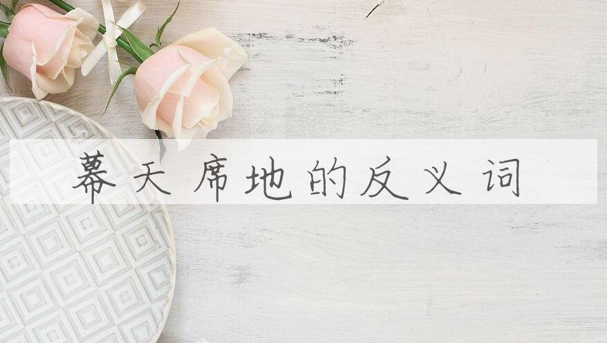 用幕天席地造句