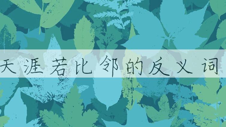 用天涯若比邻造句
