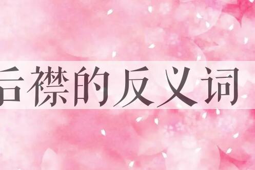 用后襟造句